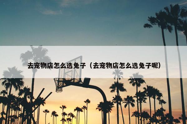 去宠物店怎么选兔子（去宠物店怎么选兔子呢）