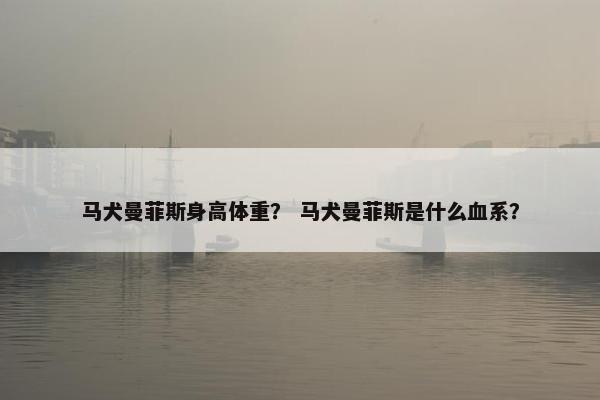 马犬曼菲斯身高体重？ 马犬曼菲斯是什么血系？