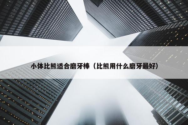 小体比熊适合磨牙棒（比熊用什么磨牙最好）
