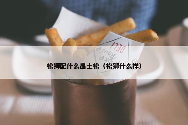 松狮配什么出土松(松狮什么样)