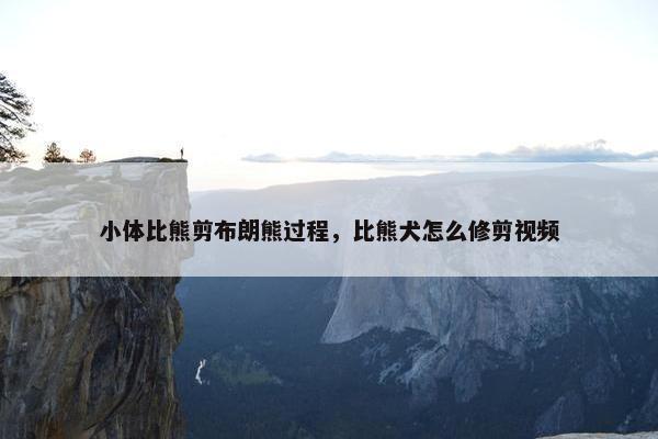 小体比熊剪布朗熊过程，比熊犬怎么修剪视频