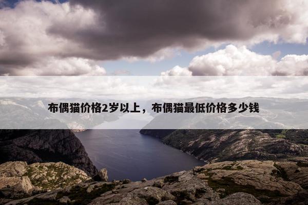 布偶猫价格2岁以上，布偶猫最低价格多少钱