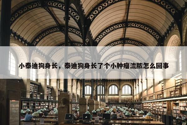 小泰迪狗身长，泰迪狗身长了个小肿瘤流脓怎么回事