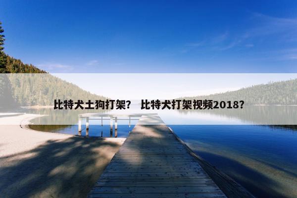 比特犬土狗打架? 比特犬打架视频2018?