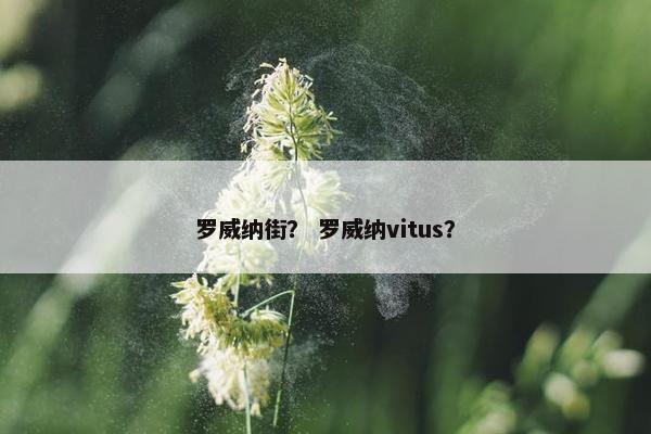 罗威纳街？ 罗威纳vitus？
