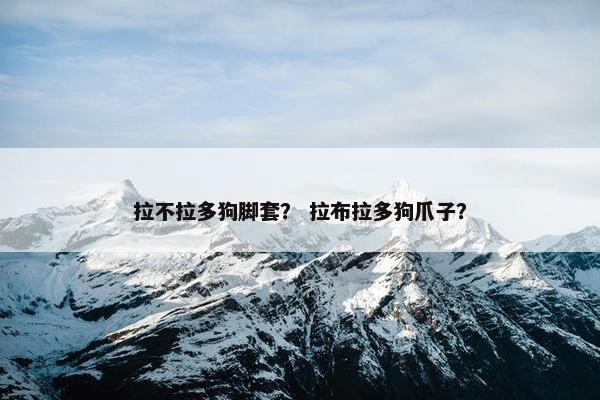拉不拉多狗脚套? 拉布拉多狗爪子?