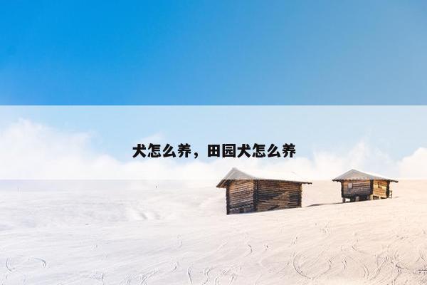 犬怎么养,田园犬怎么养