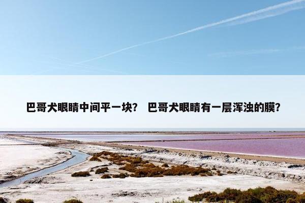 巴哥犬眼睛中间平一块？ 巴哥犬眼睛有一层浑浊的膜？