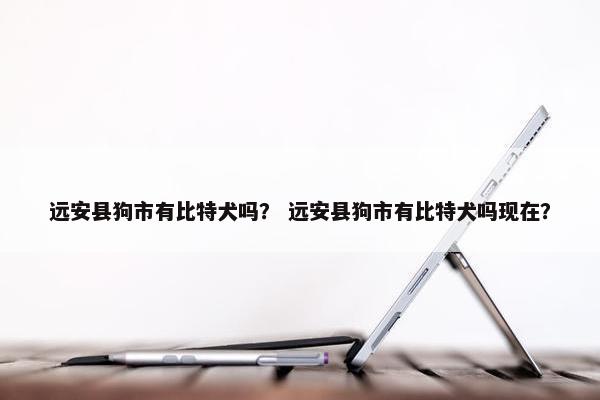 远安县狗市有比特犬吗? 远安县狗市有比特犬吗现在?