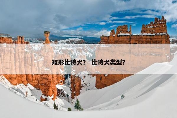 矩形比特犬？ 比特犬类型？