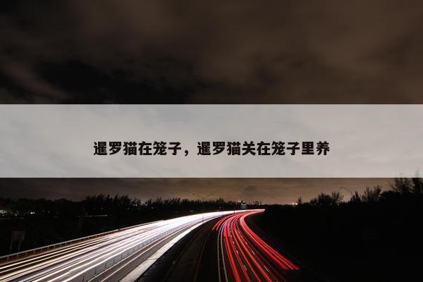 暹罗猫在笼子，暹罗猫关在笼子里养