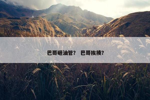 巴哥砸油管？ 巴哥挨揍？