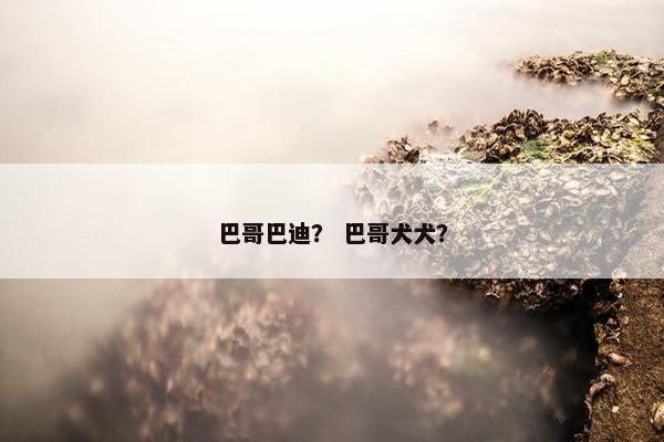 巴哥