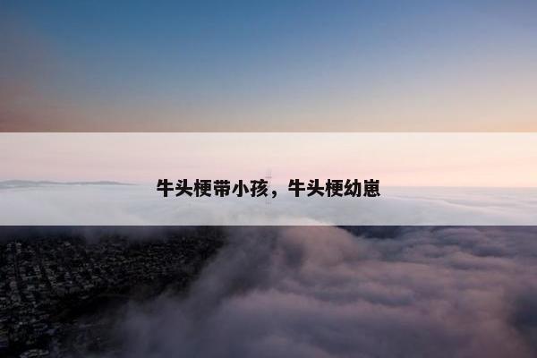 牛头梗带小孩,牛头梗幼崽