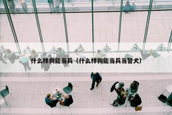 当兵