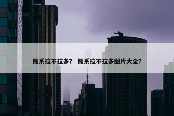 熊系拉不拉多? 熊系拉不拉多图片大全?