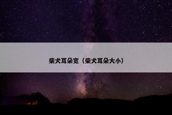 柴犬