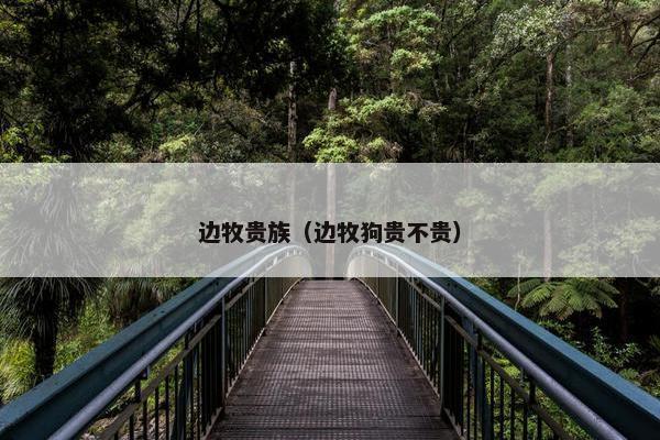 边牧贵族（边牧狗贵不贵）