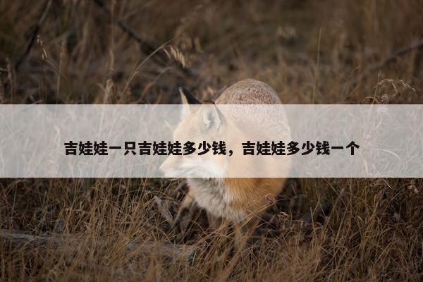 吉娃娃一只吉娃娃多少钱，吉娃娃多少钱一个