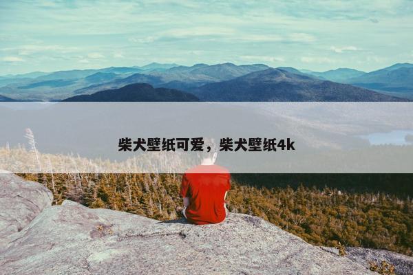 风格