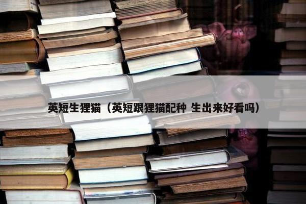 英短生狸猫（英短跟狸猫配种 生出来好看吗）