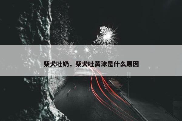 柴犬吐奶，柴犬吐黄沫是什么原因