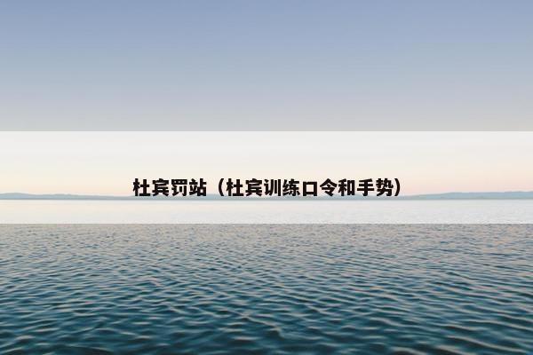 杜宾罚站(杜宾训练口令和手势)
