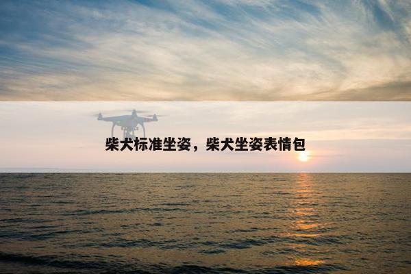 柴犬标准坐姿，柴犬坐姿表情包