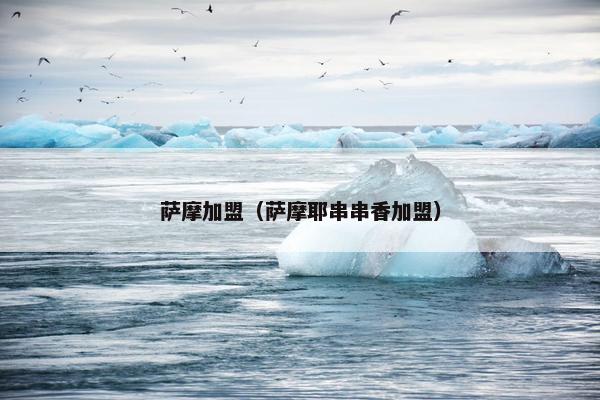 萨摩加盟(萨摩耶串串香加盟)