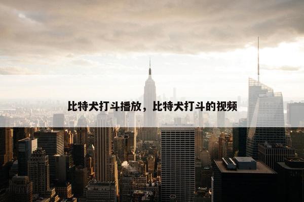 比特犬打斗播放,比特犬打斗的视频