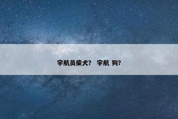 宇航员柴犬? 宇航 狗?