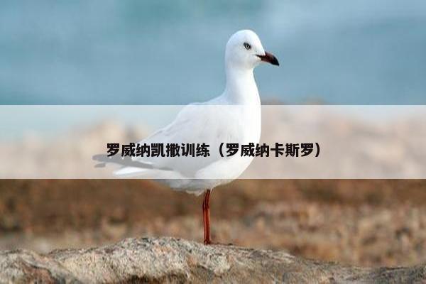 罗威纳凯撒训练（罗威纳卡斯罗）