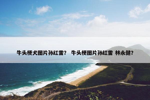 牛头梗犬图片孙红雷？ 牛头梗图片孙红雷 林永健？