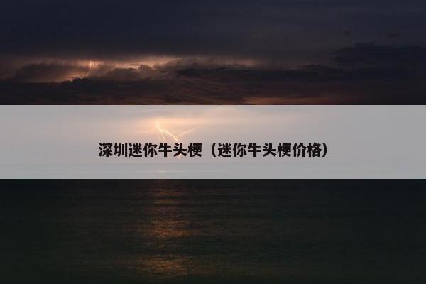 深圳迷你牛头梗（迷你牛头梗价格）