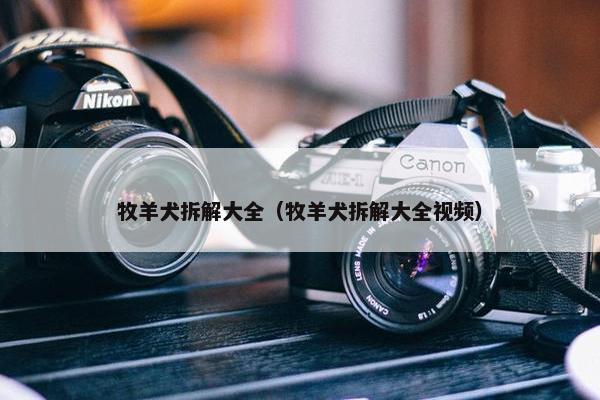 牧羊犬拆解大全（牧羊犬拆解大全视频）