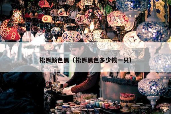 松狮颜色黑（松狮黑色多少钱一只）