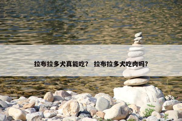 拉布拉多犬真能吃？ 拉布拉多犬吃肉吗？