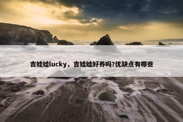 吉娃娃lucky，吉娃娃好养吗?优缺点有哪些