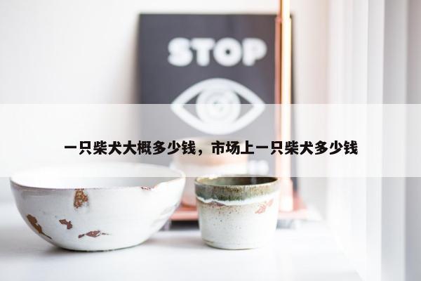 一只柴犬大概多少钱，市场上一只柴犬多少钱