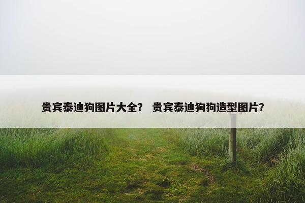 贵宾泰迪狗图片大全？ 贵宾泰迪狗狗造型图片？