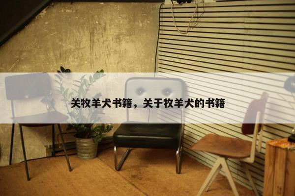 关牧羊犬书籍，关于牧羊犬的书籍