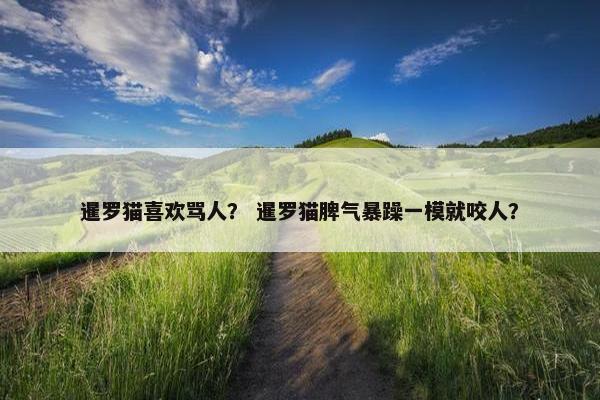 暹罗猫喜欢骂人？ 暹罗猫脾气暴躁一模就咬人？