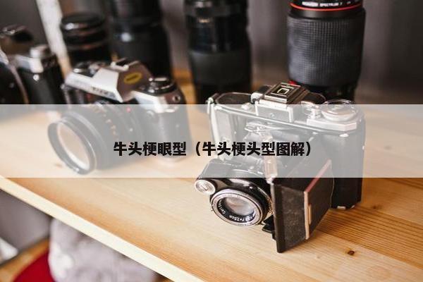 牛头梗眼型(牛头梗头型图解)