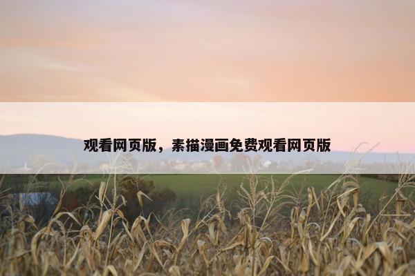 网页