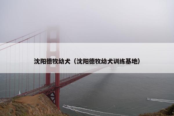 沈阳德牧幼犬（沈阳德牧幼犬训练基地）