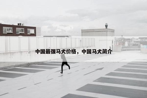 中国最强马犬价格，中国马犬简介