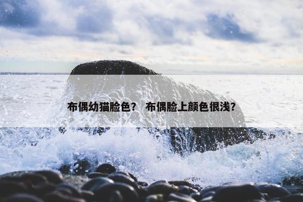 布偶幼猫脸色？ 布偶脸上颜色很浅？