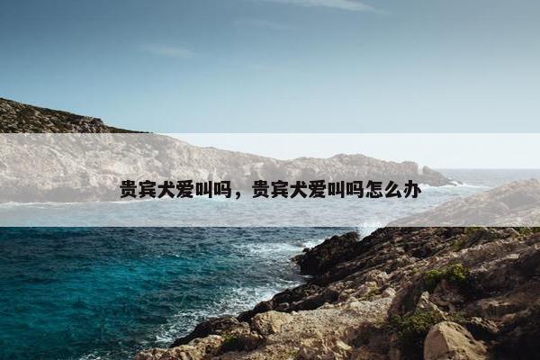 贵宾犬爱叫吗,贵宾犬爱叫吗怎么办