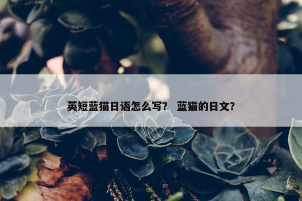 英短蓝猫日语怎么写？ 蓝猫的日文？