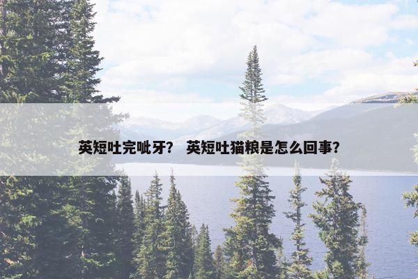 英短猫